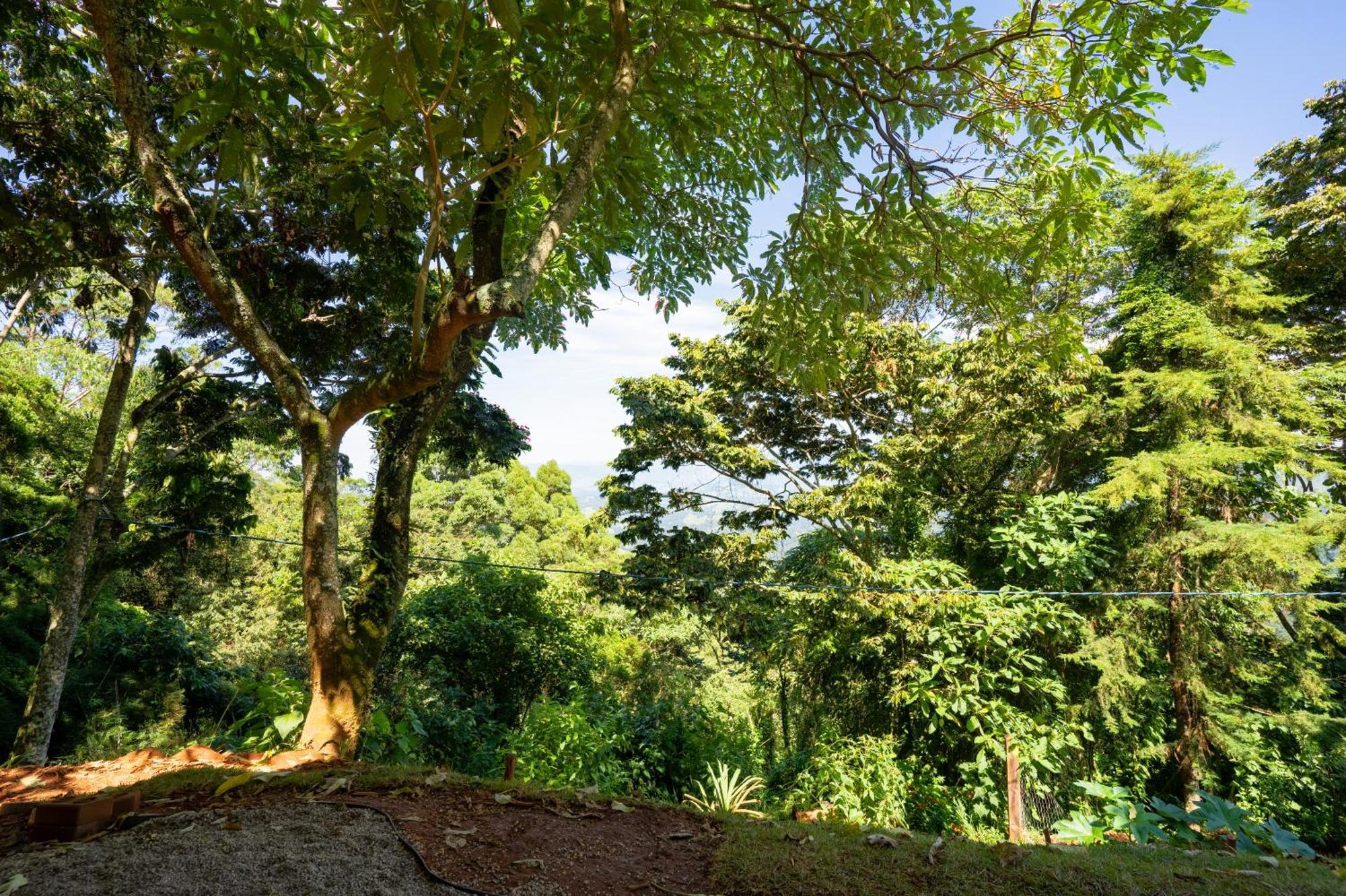 Nas Montanhas Em Chalé