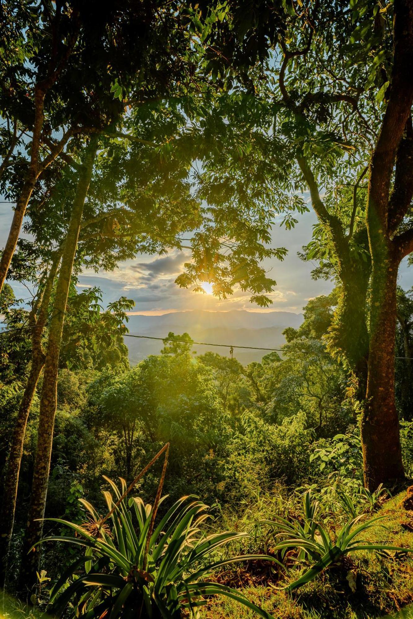Chalé Nas Montanhas Em *