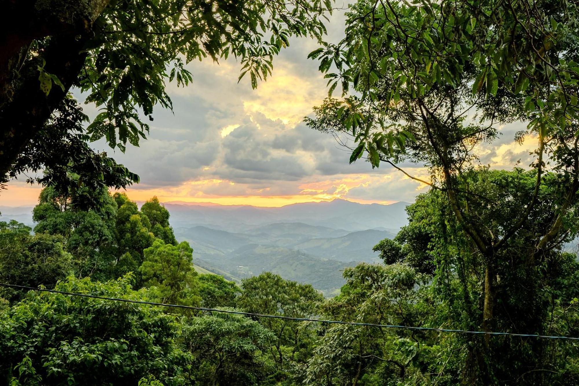 Nas Montanhas Em Chalé